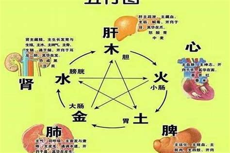 八字喜水金